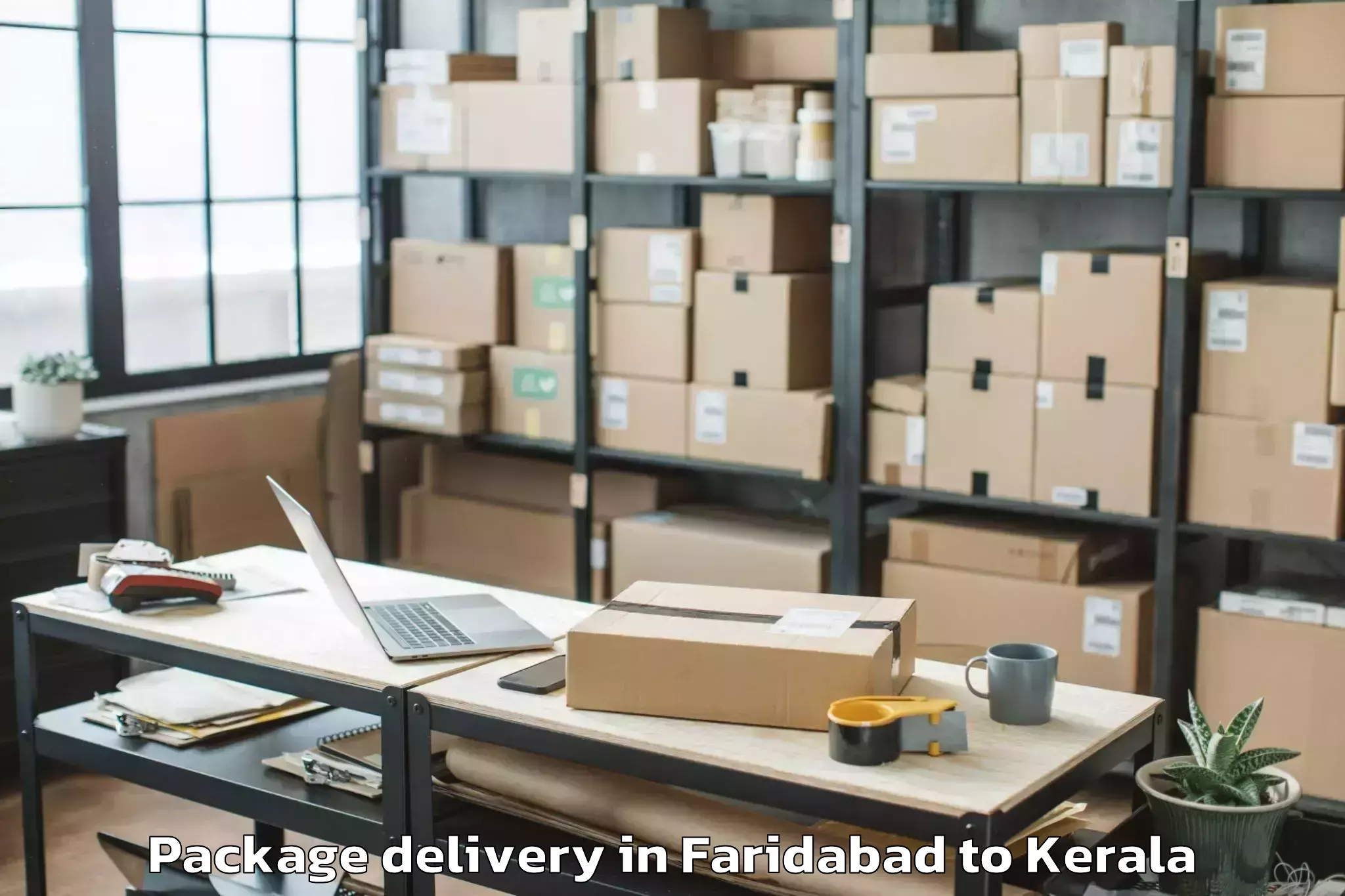 Get Faridabad to Triprayar Package Delivery